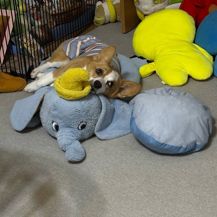 55e29d21 b849 4ca5 a22b e4279ce448da 1757429669971