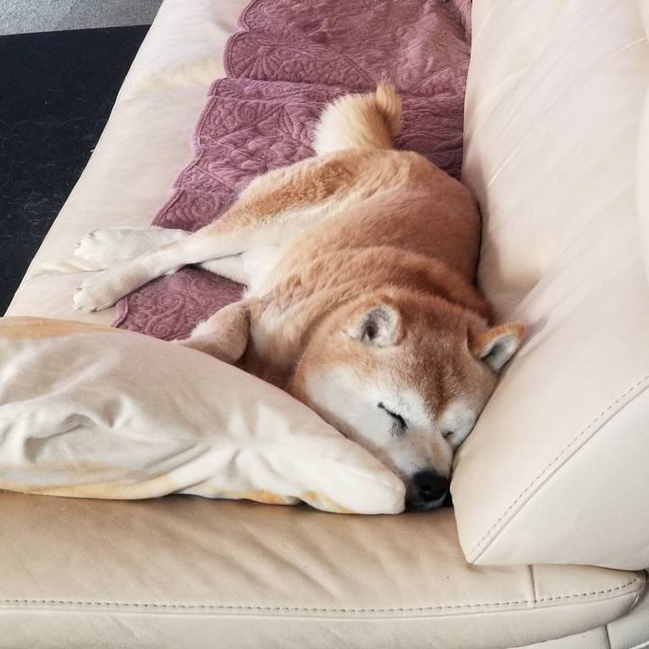 55e2b5a2 04d0 4ace ae60 7f14ac6e3c82 1740441598887