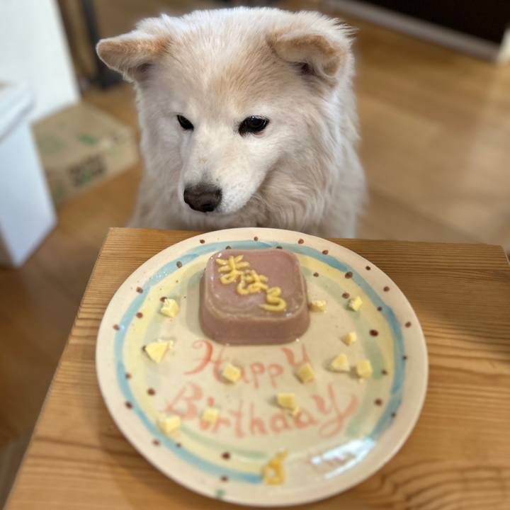 55e2d942 5ea7 41bd b64d 2b79c52648b2 1741507084651