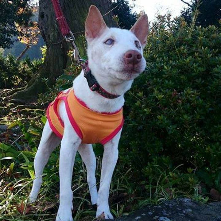 55e2e184 8913 4fc5 b689 53448cea4682 1606498611720