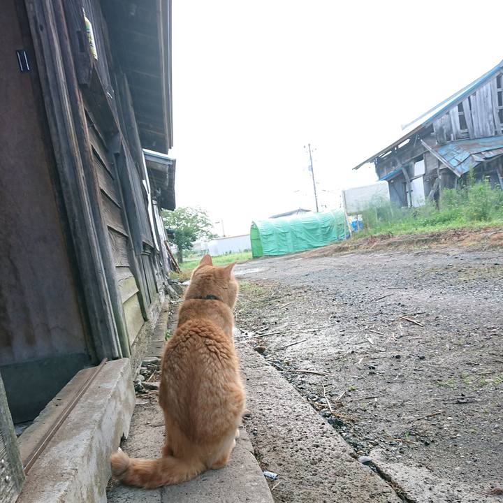 55e2e522 0f00 481d 836f 87fdf2eb7ac5 1658871706955