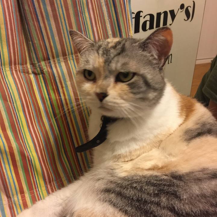 55e322fb 99e6 4cc9 89ad caeb0a286ecd 1560256911842