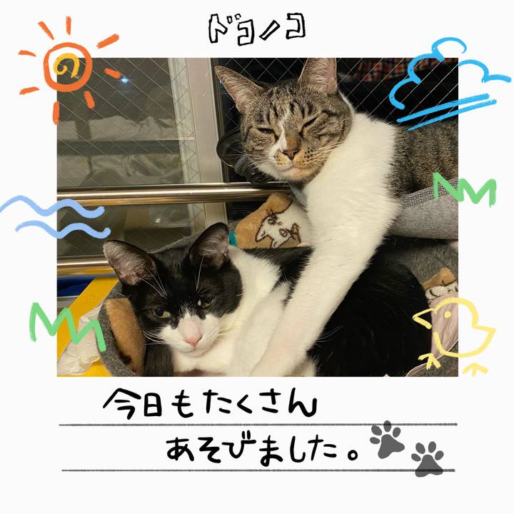 55e32966 1417 4975 9f97 c127ad450e9a 1755247306916