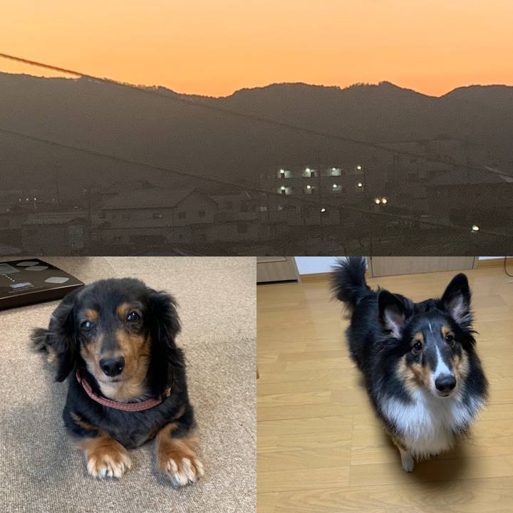 55e33e78 b846 40df afcd abc2e5b5959a 1604441446422