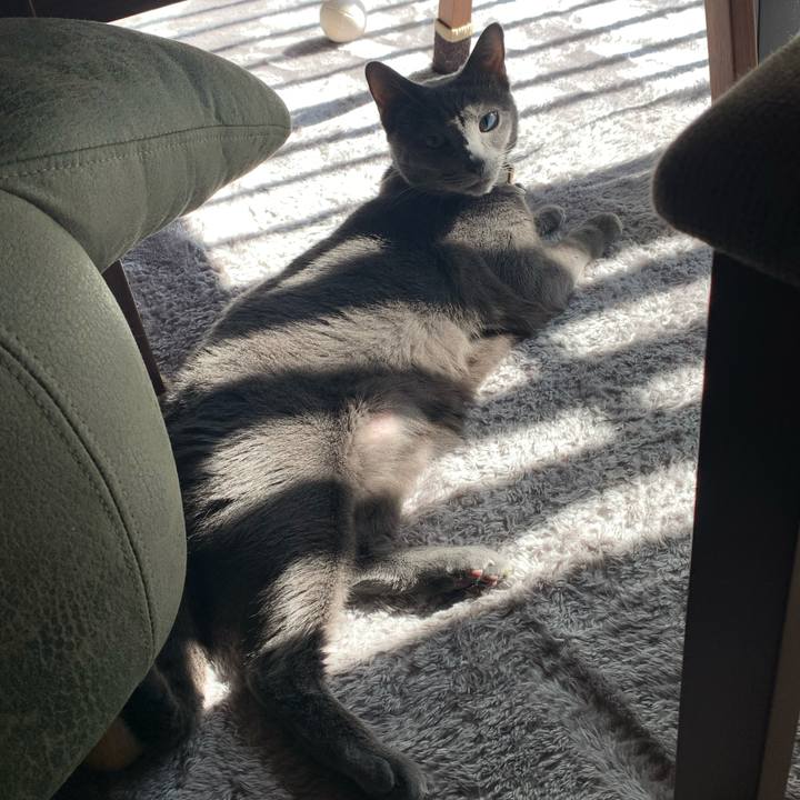 55e392da 4138 42cd a596 ec67a0bb5cab 1636858040589