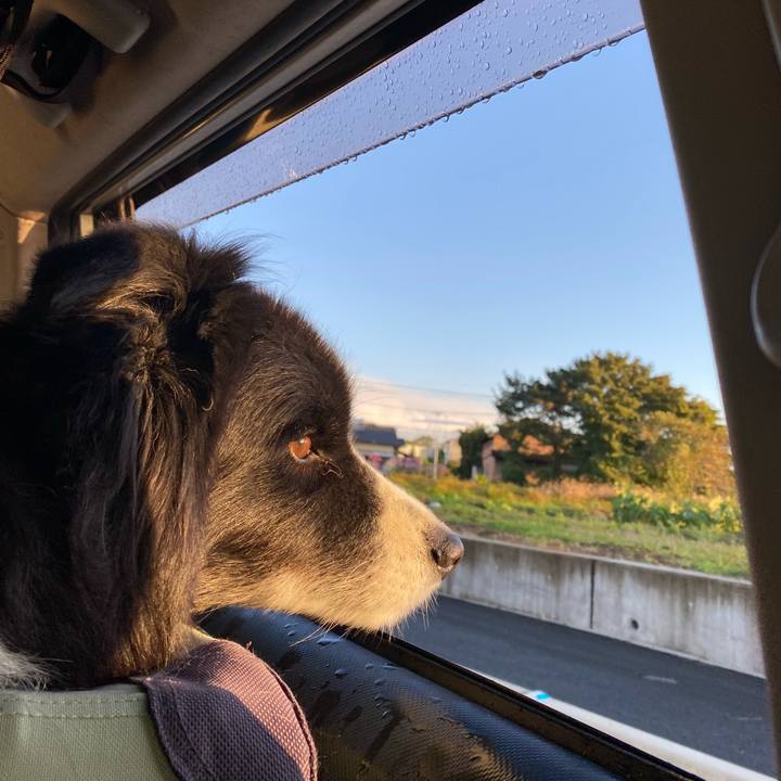 55e3bd4f 6da8 4ad7 bf4b 1ae169a694fa 1666649139708