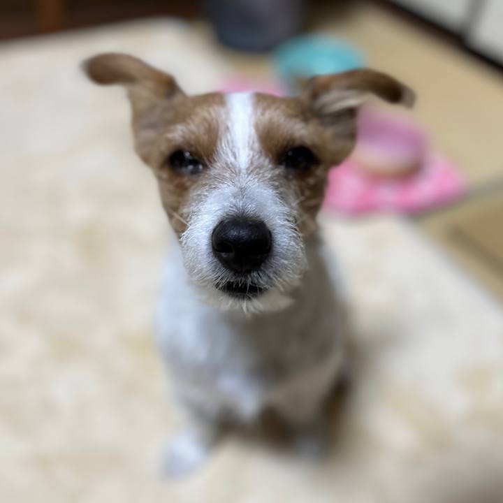 55e44831 26b9 4a14 9760 bb2dde0f75a6 1761250821774