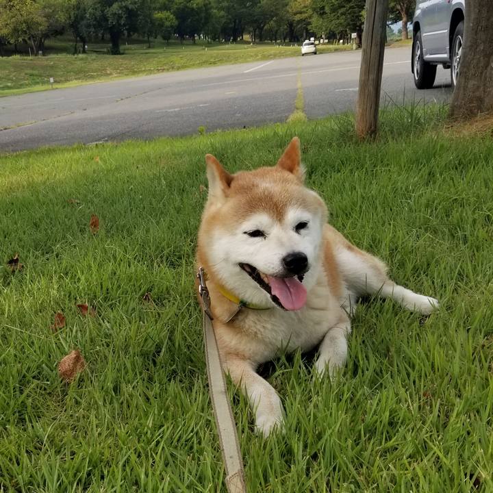 55e44cff fc94 4e7d 89ef 4f27ae2754f0 1692085488809