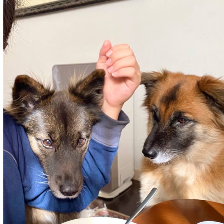 55e44e23 41d1 4a67 b552 cde1f1558fe3 1765527489521