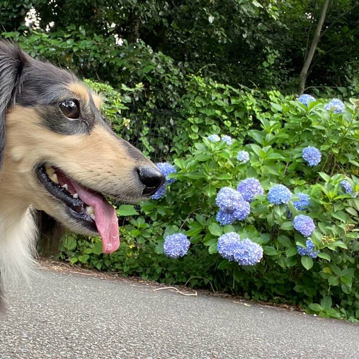 55e464d3 aba0 46d5 8d71 c5c2b99bcf6d 1751929027472