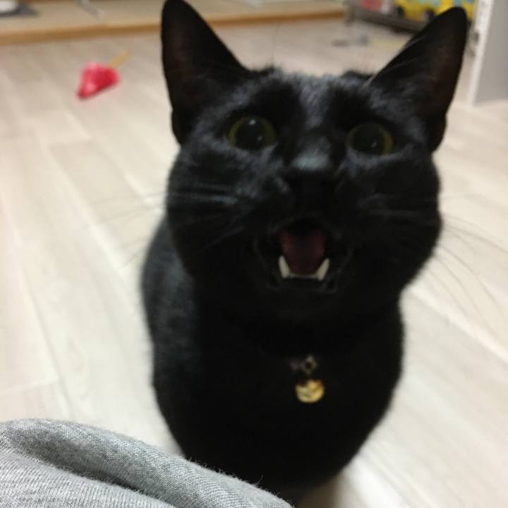 55e480bc ec7e 4eb8 ab43 324d8c379d9f 1514475836335