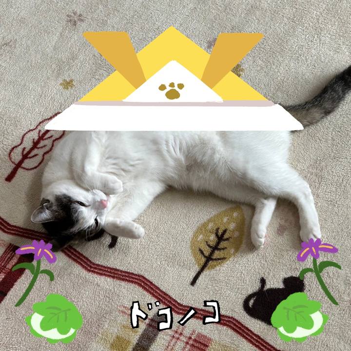 55e483b1 f66c 4642 aaa5 fff95a2bec0b 1714954399654