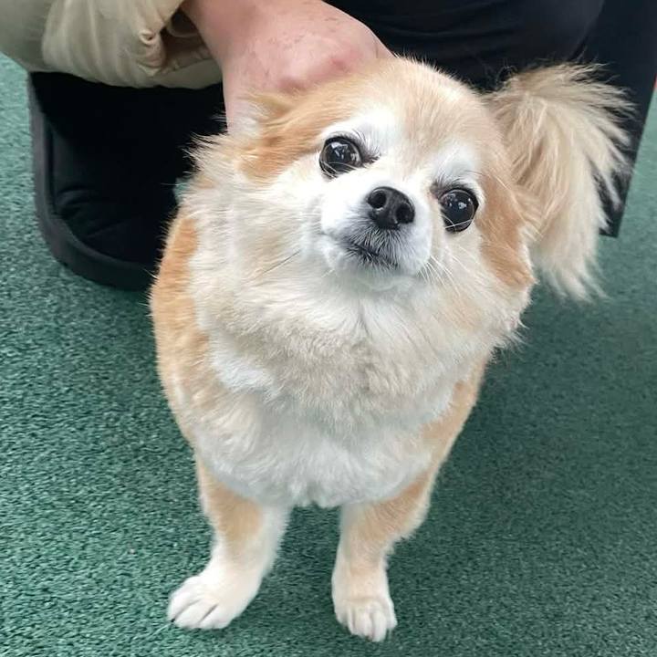 55e4d5ba 83fa 41dd 9942 a1c566e0ef93 1772449748414