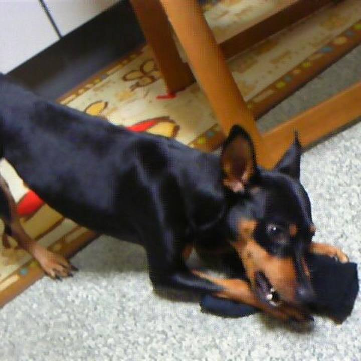 55e4d63a cbe0 43ac a0b6 967792e8446d 1760165784448