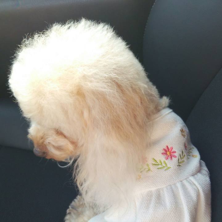 55e4ffd8 f3bc 45fe 83fe e579dd0f8f7b 1537099255587