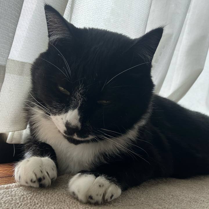 55e515cc 4501 46af ad4a 93dd24973757 1753244199459