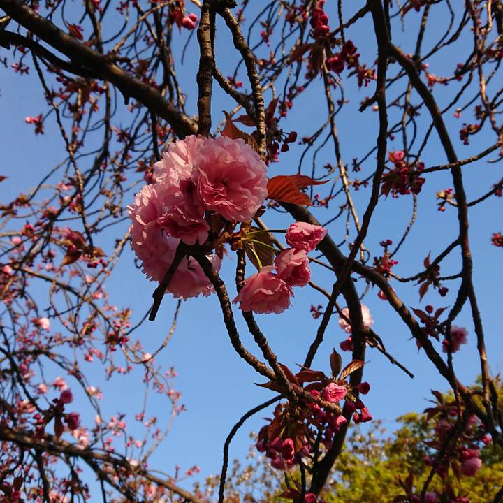 55e58665 6ba8 4524 b813 8965cee9ee7c 1555142488466