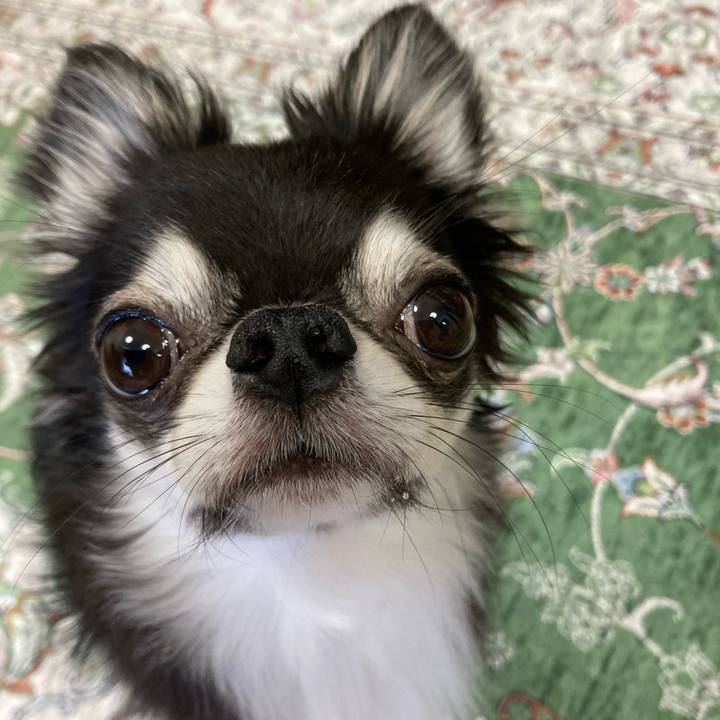 55e5b631 8487 45ec 98a4 476118f053bc 1659154324482