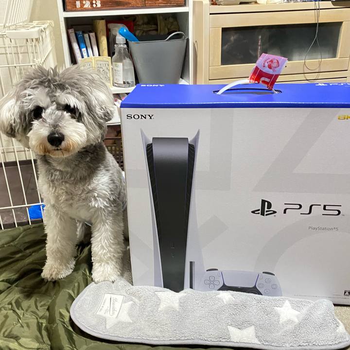 55e5ba6c 4ae3 4d27 a814 6aee36917fa5 1605183864036