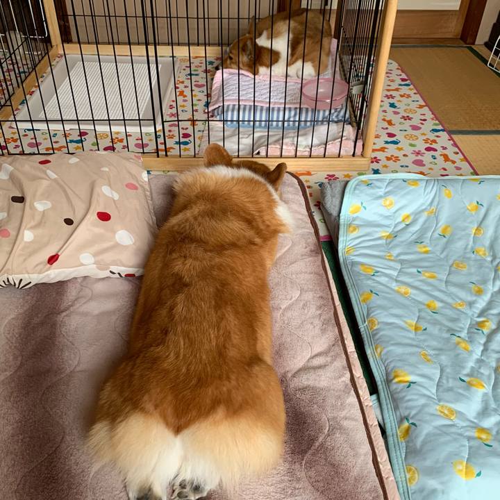 55e5c2f7 694f 4eec a881 f0309b7d8f3b 1623031680217