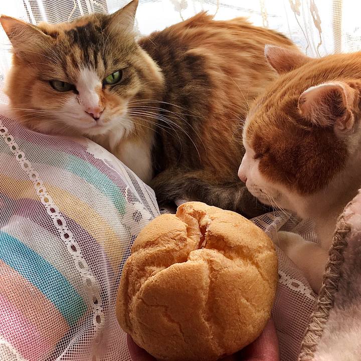 55e5c591 a25a 491d 952d c5be0ceac380 1610606318743