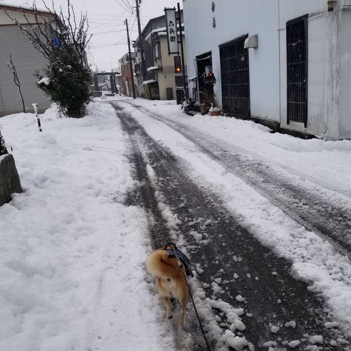 55e5d9be e821 45f8 8593 8b1dc1e90a9c 1705117672561