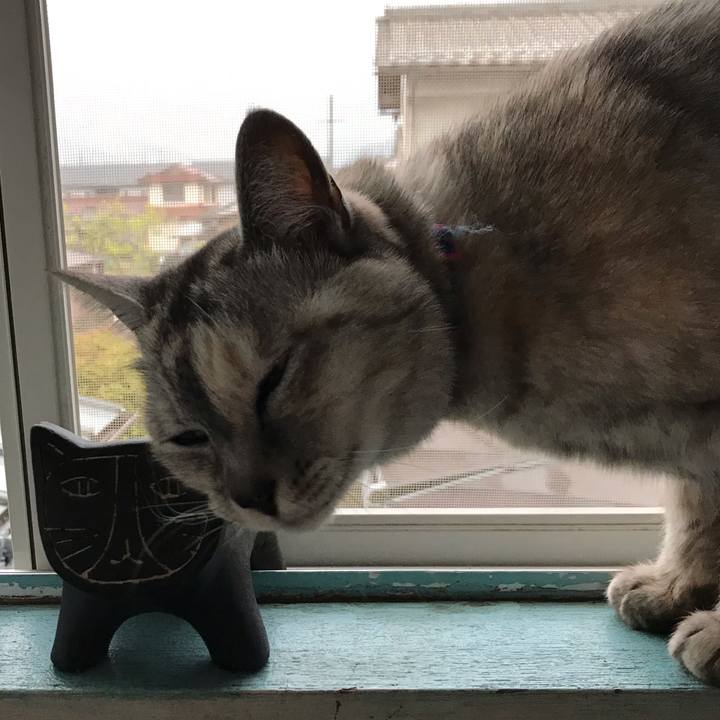 55e6b0c5 3dd6 4603 8820 71d872e90bb9 1587885809657