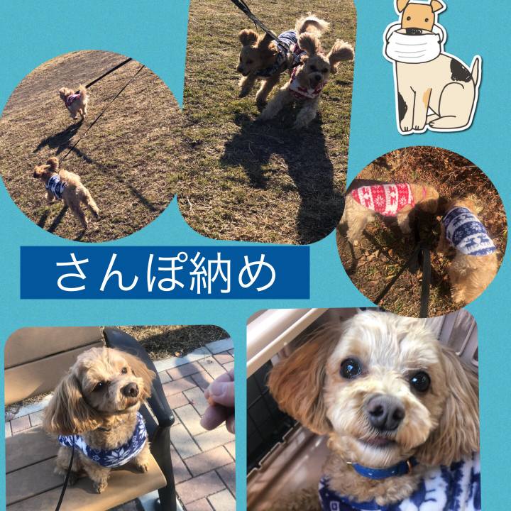 55e6be8e 2a59 4947 b60a a233a74723cc 1609405706495