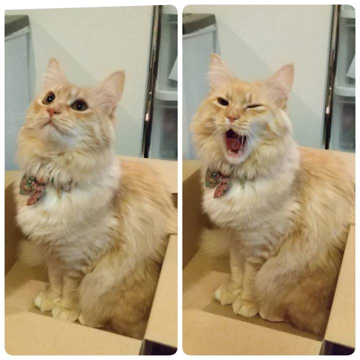 55e6c66f 56bc 4149 934f 7304a2bf2e56 1641306690604