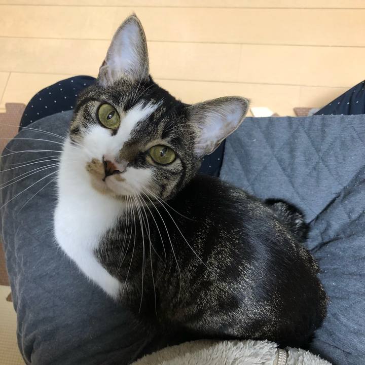 55e6da85 8f0c 44ec a048 a063221681e3 1516609893315