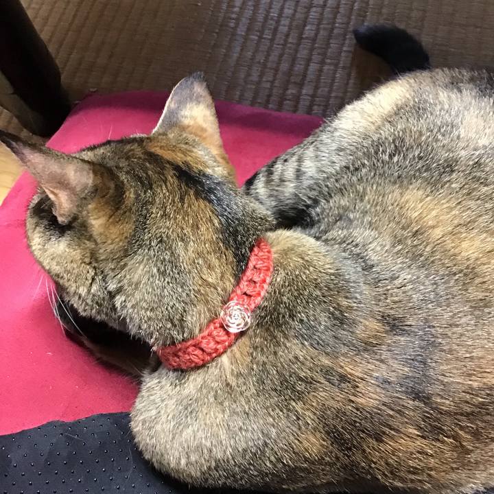 55e6dff2 1dd5 443a 9a4e 5317160a18de 1627790556168