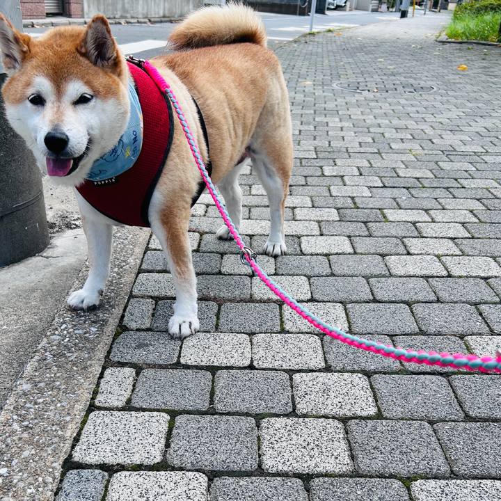 55e6f03a 0343 48fa b023 67bb3b7e09fa 1725415251598