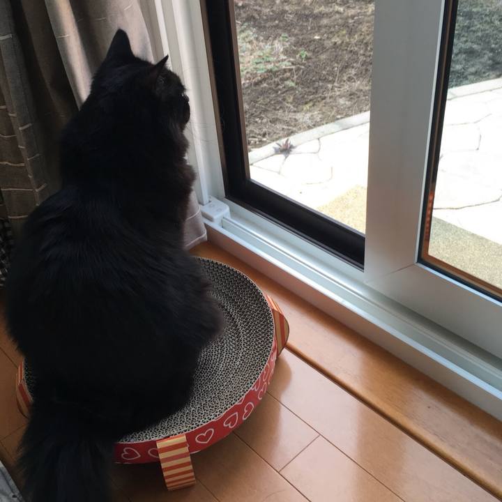 55e6f3bf 6823 40c2 a74b 5a4e1cd2ff93 1524193100861