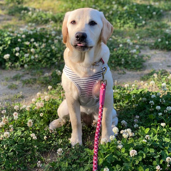 55e74124 2d20 4e0c 8db5 b1841fc2bb78 1620033380600