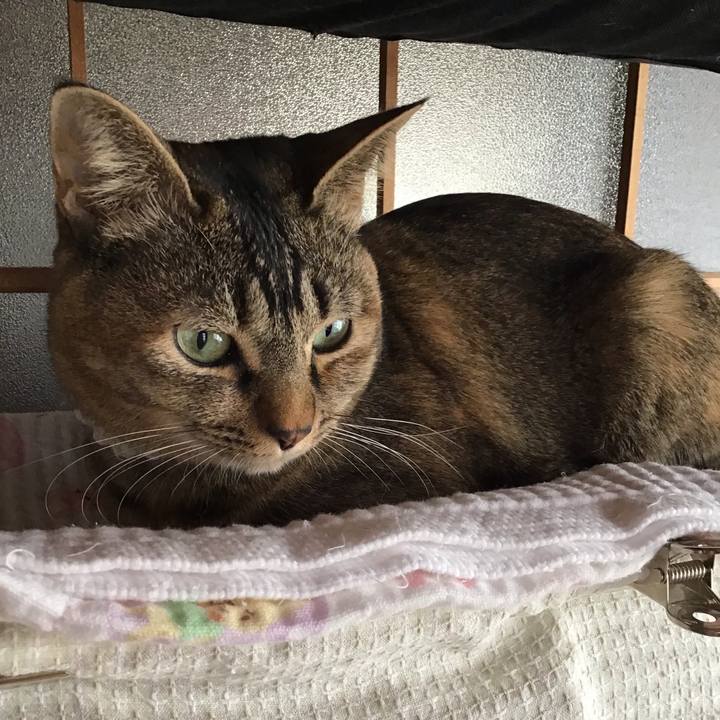 55e77a56 d8eb 483b abfd 795683c47206 1647479141918