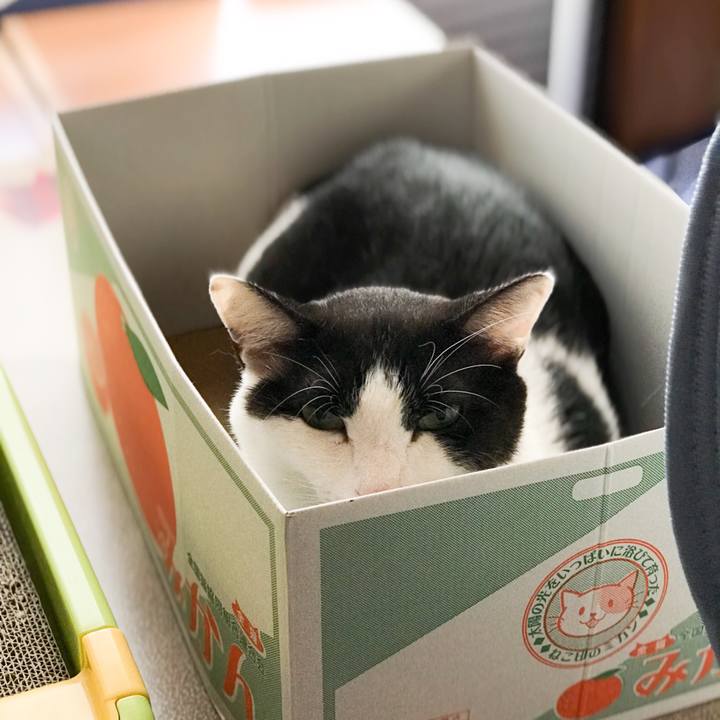 55e79676 088c 42d3 906f e40b83dbedf1 1530149409684