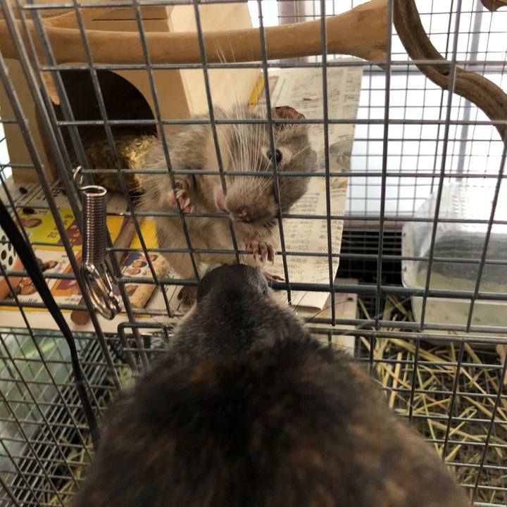 55e79d4c 6e00 4c9e 8399 36949479a358 1572147658765