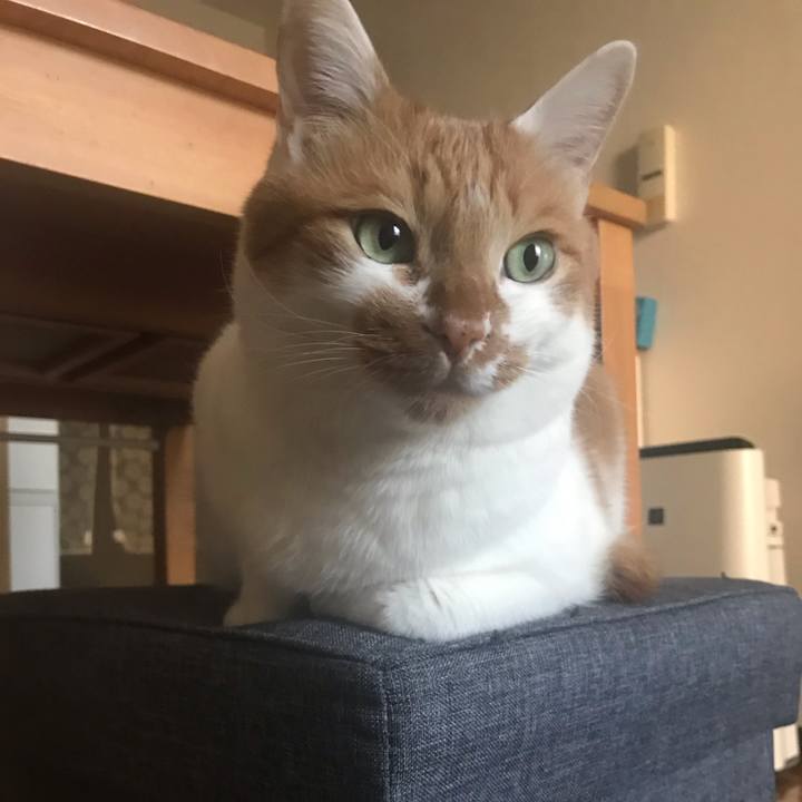 55e79dc8 4dc2 49f9 a25a 24a1d79508ec 1579782284667