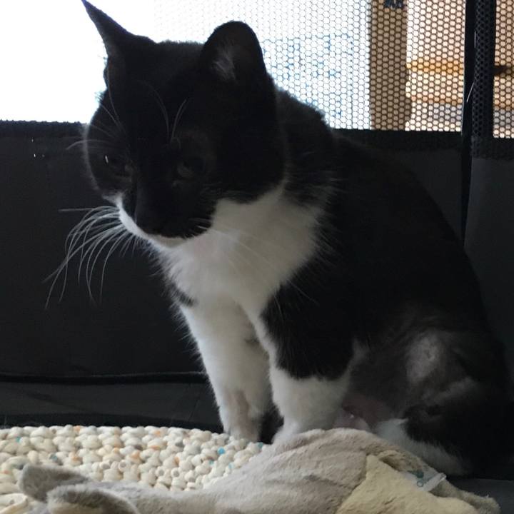 55e7cc4b 004f 43fb 9ace 2dcc29c8cff3 1596179924025