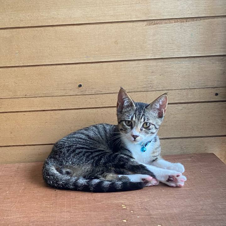 55e7d5df f3f6 4cd4 a2be e258227507d4 1628945356418