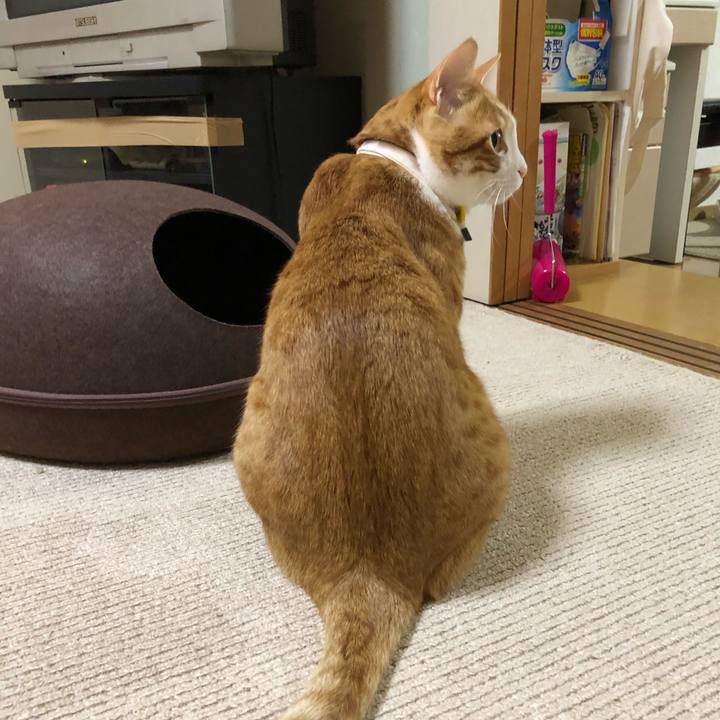 55e7d9e3 e6a6 4f84 8296 7ddb7c091823 1552301124901