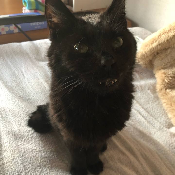 55e805ff 14d0 4956 b29e 7615420ef3a0 1618862128119