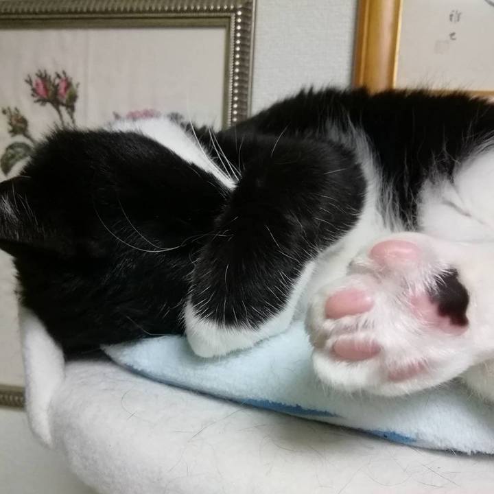 55e82567 8377 49e6 99c5 7b258fd50ddd 1556202046780