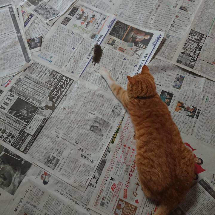 55e8750a 7a2f 4b95 80a1 e8dd9f78c444 1582340040212