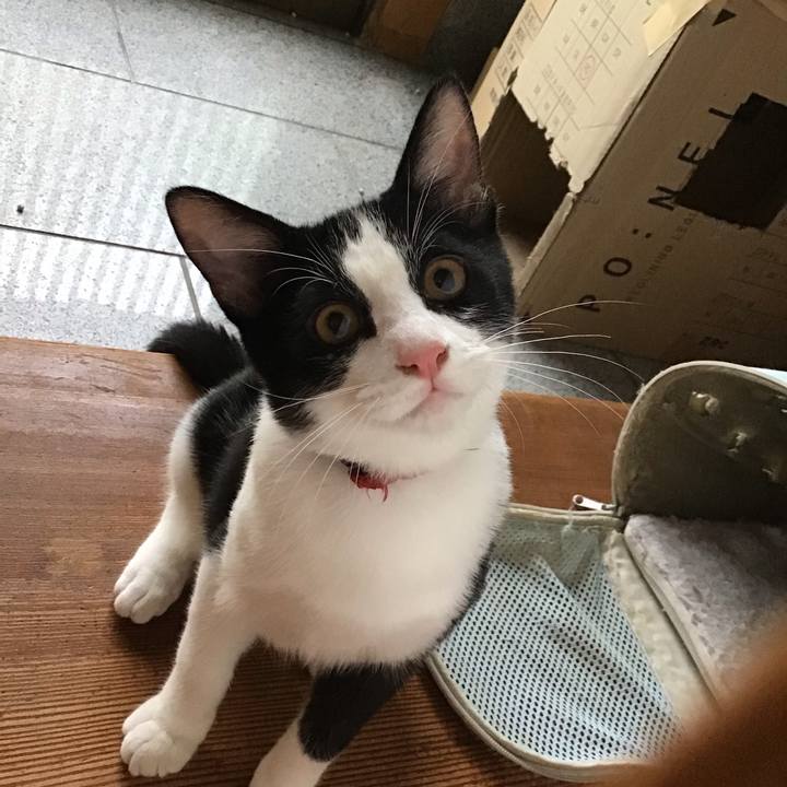 55e8ed0e c716 4c5c 8d4a 89245581603b 1629972257071