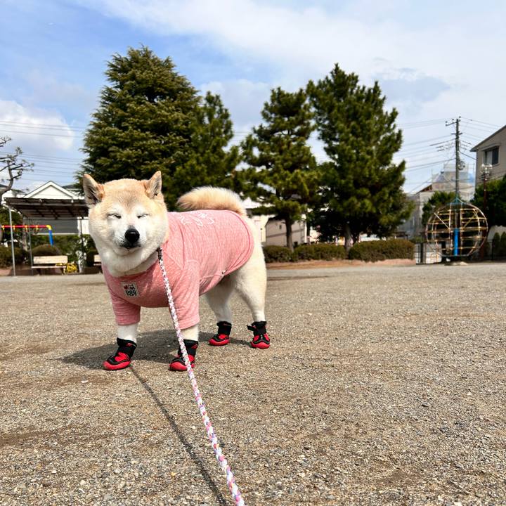 55e91514 a623 46db bfeb bba3cb2f6dc8 1741847276996