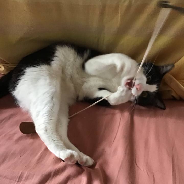 55e92168 8f9b 4cf5 b102 35c0fb16a260 1685357364552