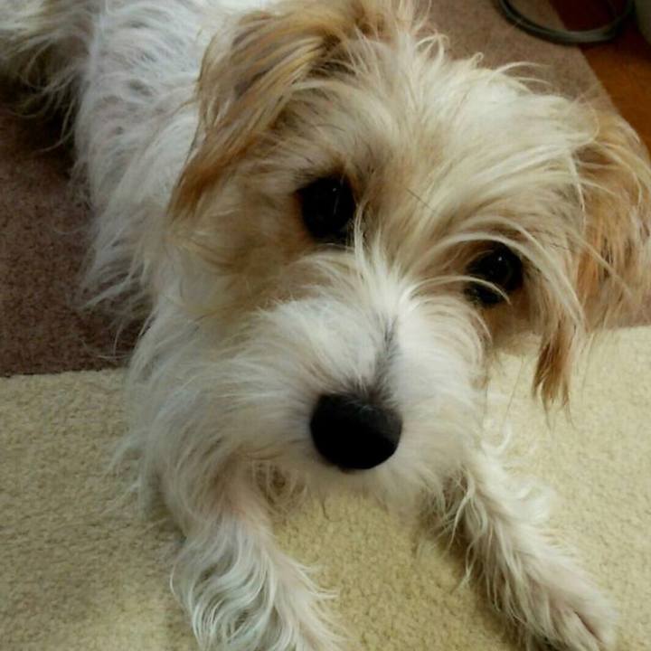 55e94c5f 524c 4dac 8a17 1b5c45bebe0f 1694950900632