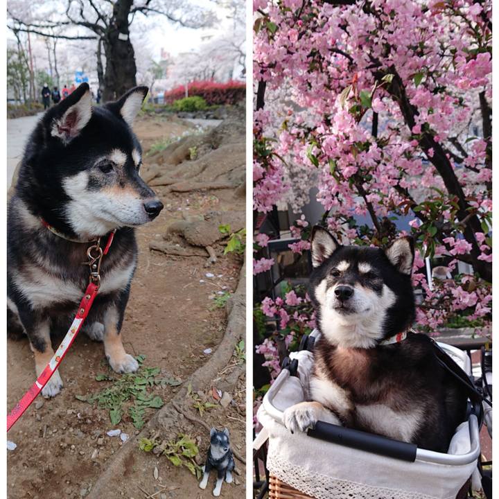 55e955fc 7166 4c87 82b1 3ddd20f9e8da 1617696737670