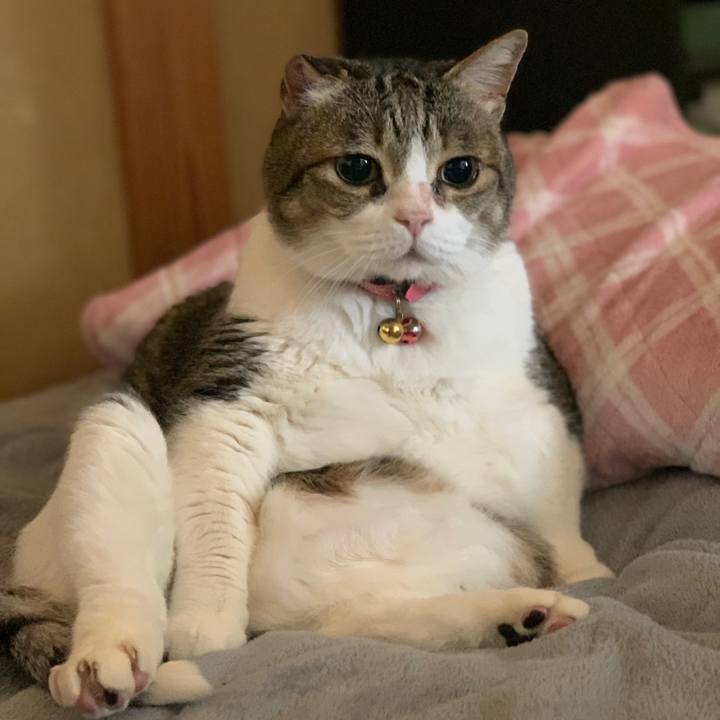 55e99691 e30b 4256 8cba 601d257adba4 1714649092894